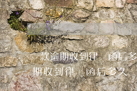 貸款逾期收到律師函后多久會起訴-貸款逾期收到律師函后多久會起訴對方