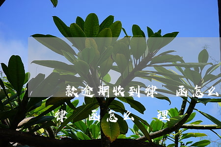 貸款逾期收到律師函怎么處理(貸款逾期收到律師函怎么處理)