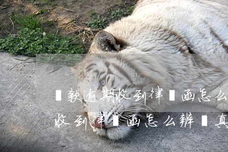 貸款逾期收到律師函怎么辨別真假 貸款逾期收到律師函怎么辨別真假