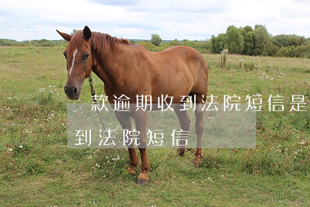 貸款逾期收到法院短信是真的嗎（貸款逾期收到法院短信）