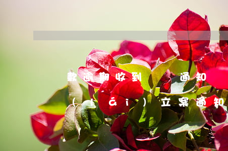 貸款逾期收到訴訟通知(貸款逾期發(fā)來(lái)立案通知是真的嗎)