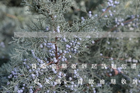 貸款逾期收到起訴短信還款還來(lái)得及嗎-貸款逾期收到起訴短信要怎么處理