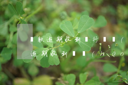 貸款逾期收到銀行掛號(hào)信（信用卡逾期收到掛號(hào)信什么樣）
