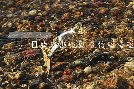 貸款逾期收到限行短信(短信收到限行通知)