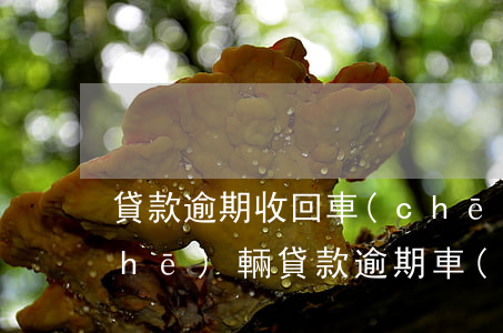 貸款逾期收回車(chē)輛與搶劫(車(chē)輛貸款逾期車(chē)被收回)