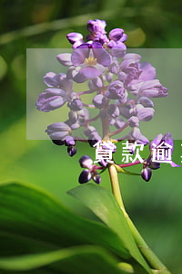 貸款逾期收律師函-貸款逾期收律師函