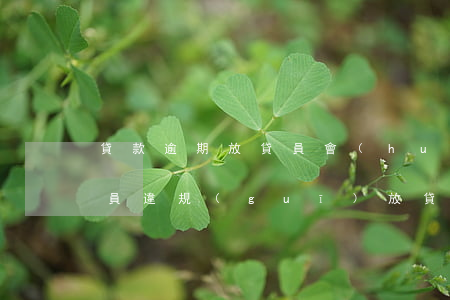 貸款逾期放貸員會(huì)坐牢嗎(銀行職員違規(guī)放貸會(huì)坐牢嗎)