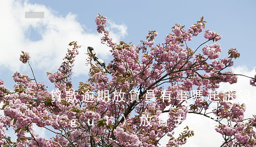 貸款逾期放貸員有事嗎(起訴銀行信貸員違規(guī)放貸去哪告)