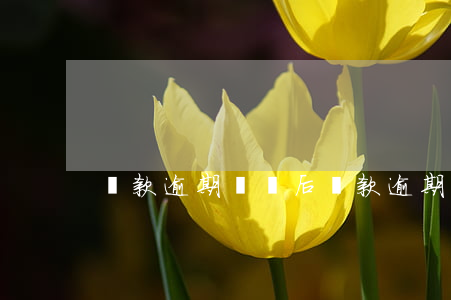 貸款逾期敗訴后 貸款逾期被起訴的后果
