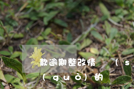 貸款逾期整改情況說(shuō)明(貸款悔過(guò)的檢討書)