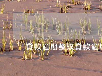 貸款逾期整改(貸款逾期整改通知書)