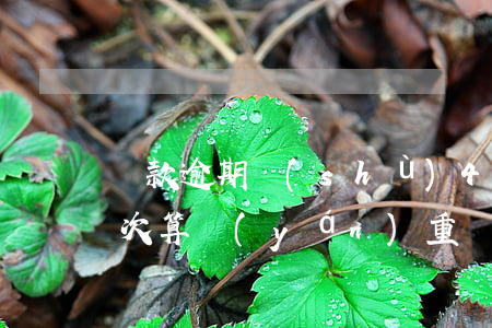 貸款逾期數(shù)4是什么意思(逾期4次算嚴(yán)重嗎)