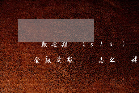 貸款逾期數(shù)據(jù)怎么控制(金融逾期記錄怎么處理)