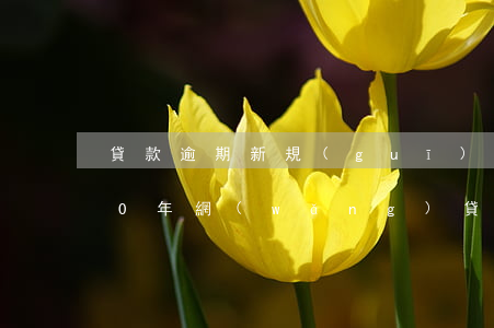 貸款逾期新規(guī)定2020(2020年網(wǎng)貸逾期政策)
