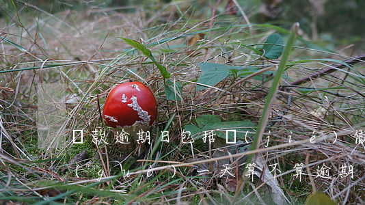 貸款逾期日包括節(jié)假日嗎(房貸過(guò)一天,算不算逾期)