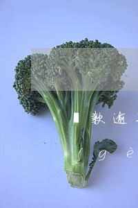 貸款逾期是一輩子不消嗎(貸款逾期不超一個(gè)月)