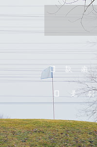 貸款逾期是不是只還本金(貸款逾期先還本金還是利息)