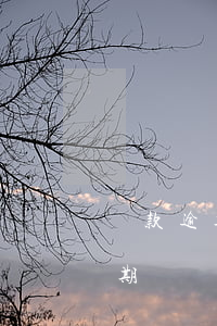 貸款逾期是不是辦不了信用卡(有信用卡沒逾期過為什么貸不了款)