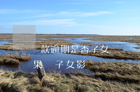 貸款逾期是否子女歸還(貸款逾期不還什么后果,對子女影響)