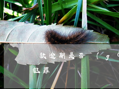 貸款逾期是否構(gòu)成犯罪(逾期屬于犯罪嗎)
