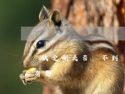 貸款逾期是否買不到車票(逾期對買車票有沒有影響)