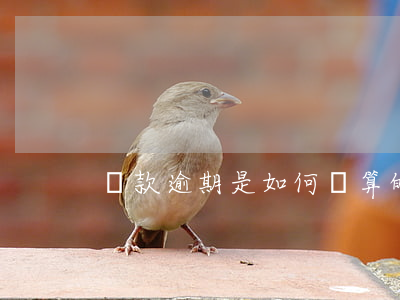 貸款逾期是如何計算的(銀行貸款逾期怎么算)