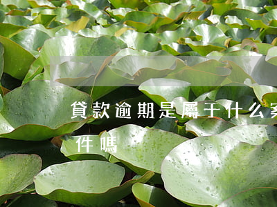 貸款逾期是屬于什么案件(貸款逾期是刑事案件嗎)
