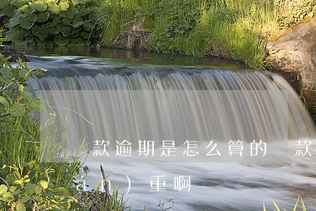 貸款逾期是怎么算的(貸款逾期多久算嚴(yán)重啊)