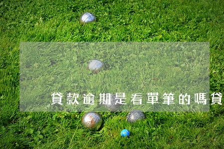 貸款逾期是看單筆的嗎(貸款 幾筆 逾期)