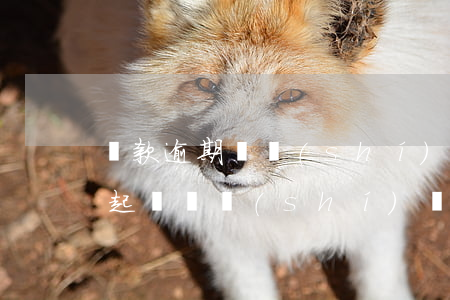 貸款逾期暫時(shí)無能力償還(逾期被起訴,暫時(shí)沒還款能力)