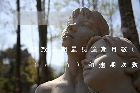 貸款逾期最長逾期月數(shù)(逾期期數(shù)和逾期次數(shù))