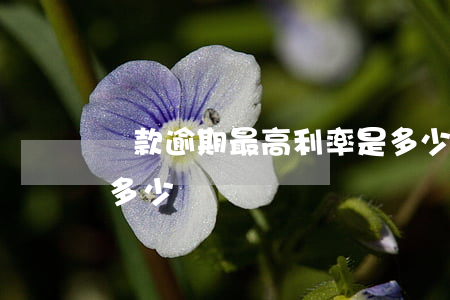 貸款逾期最高利率是多少(貸款逾期利息最高多少)
