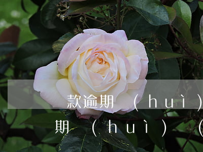 貸款逾期會(huì)一直有利息嗎(房貸逾期會(huì)產(chǎn)生利息嗎)