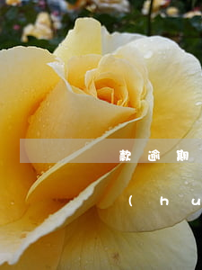 貸款逾期會(huì)上報(bào)村委會(huì)嗎(貸款逾期會(huì)寄什么東西去村委會(huì))