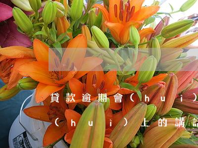 貸款逾期會(huì)上的講話(貸款逾期會(huì)上的講話)