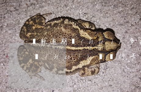貸款逾期會(huì)多扣錢嗎(貸款逾期了會(huì)從銀行卡里扣錢嗎)