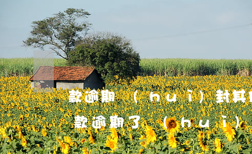 貸款逾期會(huì)封其他銀行卡嗎（其他貸款逾期了會(huì)不會(huì)信用卡封）