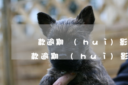 貸款逾期會(huì)影響信用卡提額嗎(貸款逾期會(huì)影響信用卡降額嗎)