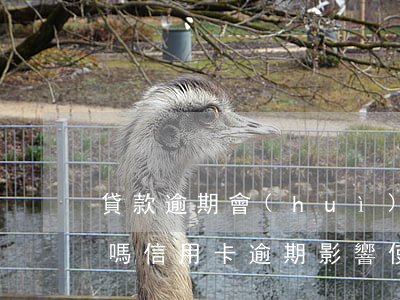 貸款逾期會(huì)影響信用卡正常使用嗎（信用卡逾期影響使用）
