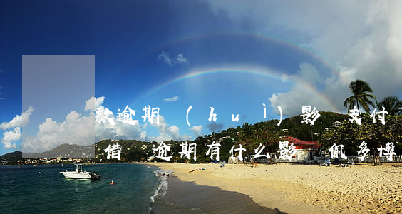 貸款逾期會(huì)影響支付寶借唄(支付寶借唄逾期有什么影響? 佩多博客)