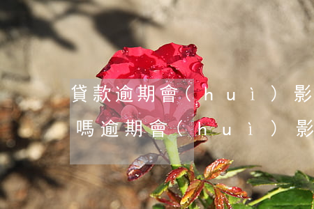 貸款逾期會(huì)影響結(jié)婚嗎(逾期會(huì)影響貸款買(mǎi)房嗎)