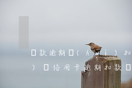 貸款逾期會(huì)扣卡里錢(qián)嗎（信用卡逾期扣款從什么卡扣）