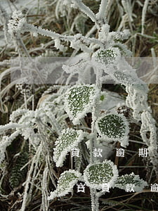 貸款逾期會(huì)扣支付寶的錢嗎(支付寶貸款逾期的后果)