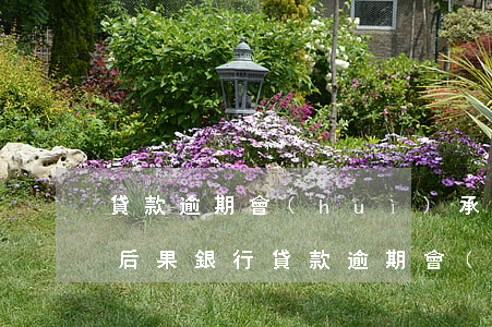 貸款逾期會(huì)承擔(dān)什么后果(銀行貸款逾期會(huì)有什么后果)