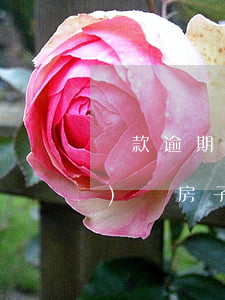 貸款逾期會(huì)拍賣房產(chǎn)嗎(房子貸款逾期多久會(huì)被拍賣)