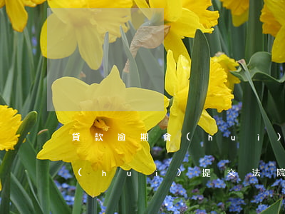 貸款逾期會(huì)提交法院(貸款逾期會(huì)提交法院)