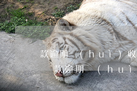 貸款逾期會(huì)收催收費(fèi)嗎(貸款逾期會(huì)不會(huì)上門催收)