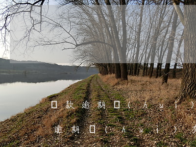 貸款逾期會(huì)有哪些后果(銀行貸款逾期會(huì)有什么后果)