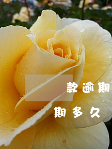 貸款逾期會(huì)被起訴么(銀行貸款逾期多久會(huì)被起訴)