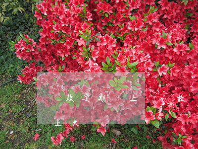 貸款逾期會上報學校嗎(貸款逾期會影響孩子上大學嗎)